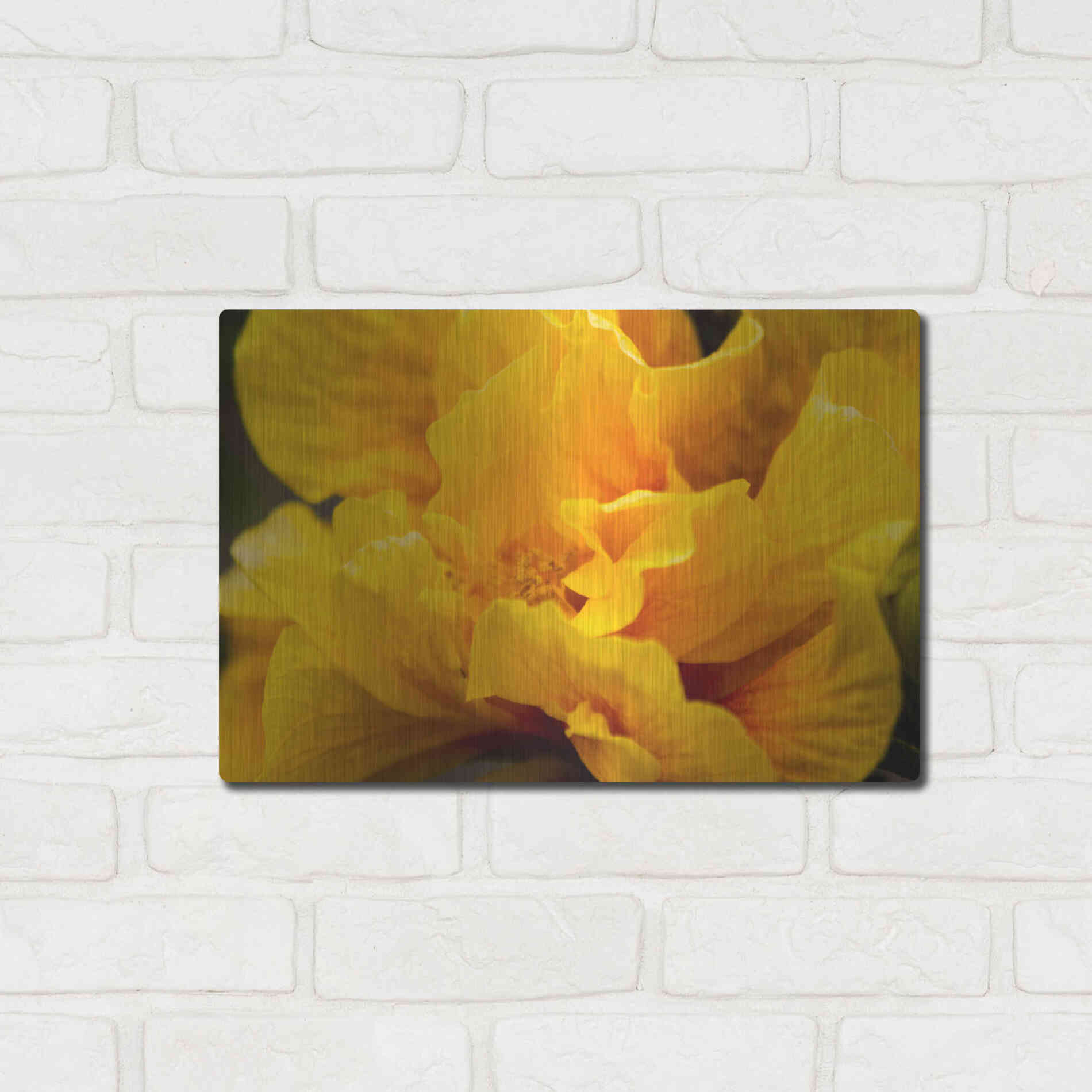 Luxe Metal Art 'Hibiscus Folds' by Chris Moyer, Metal Wall Art,16x12