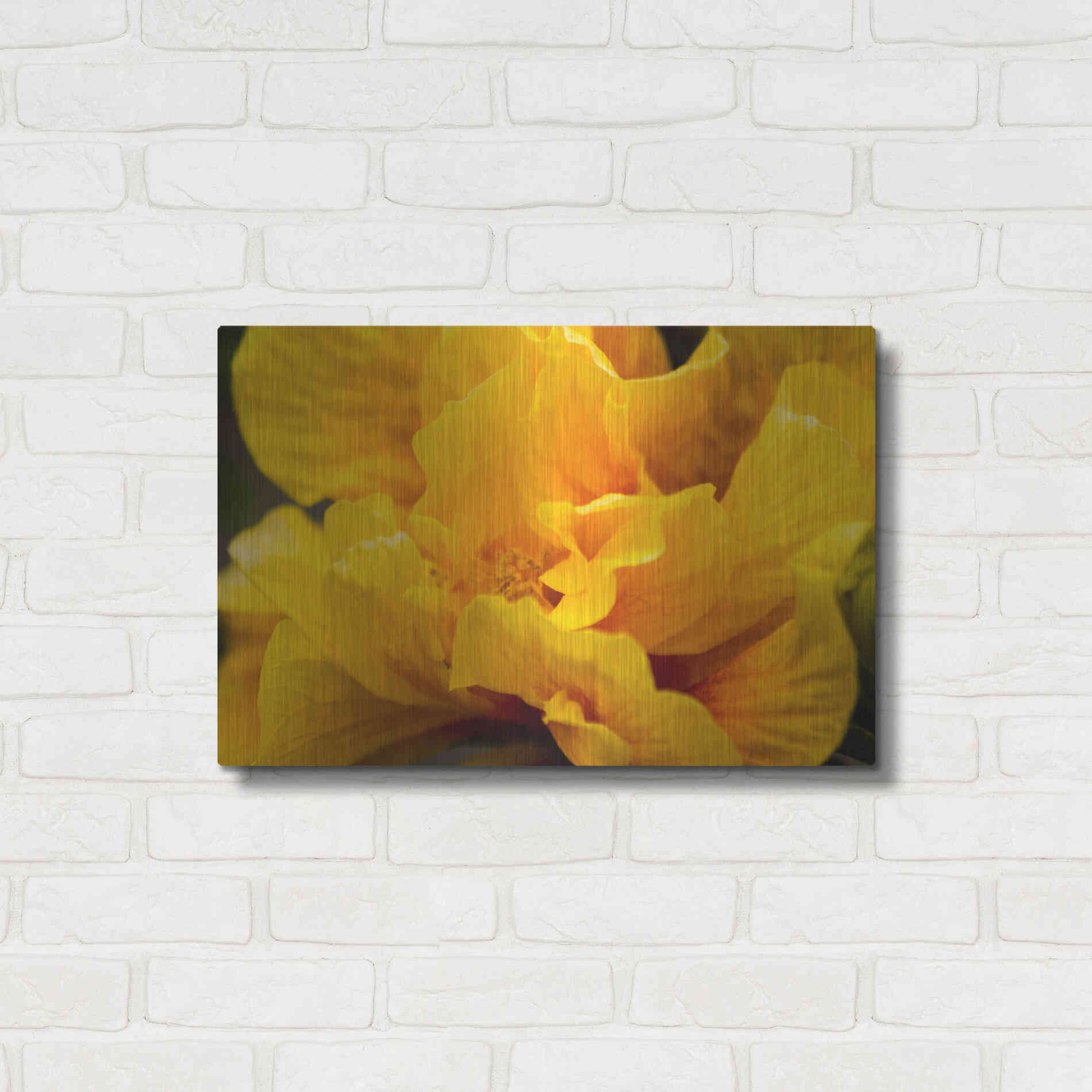 Luxe Metal Art 'Hibiscus Folds' by Chris Moyer, Metal Wall Art,24x16