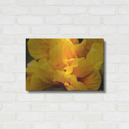 Luxe Metal Art 'Hibiscus Folds' by Chris Moyer, Metal Wall Art,24x16