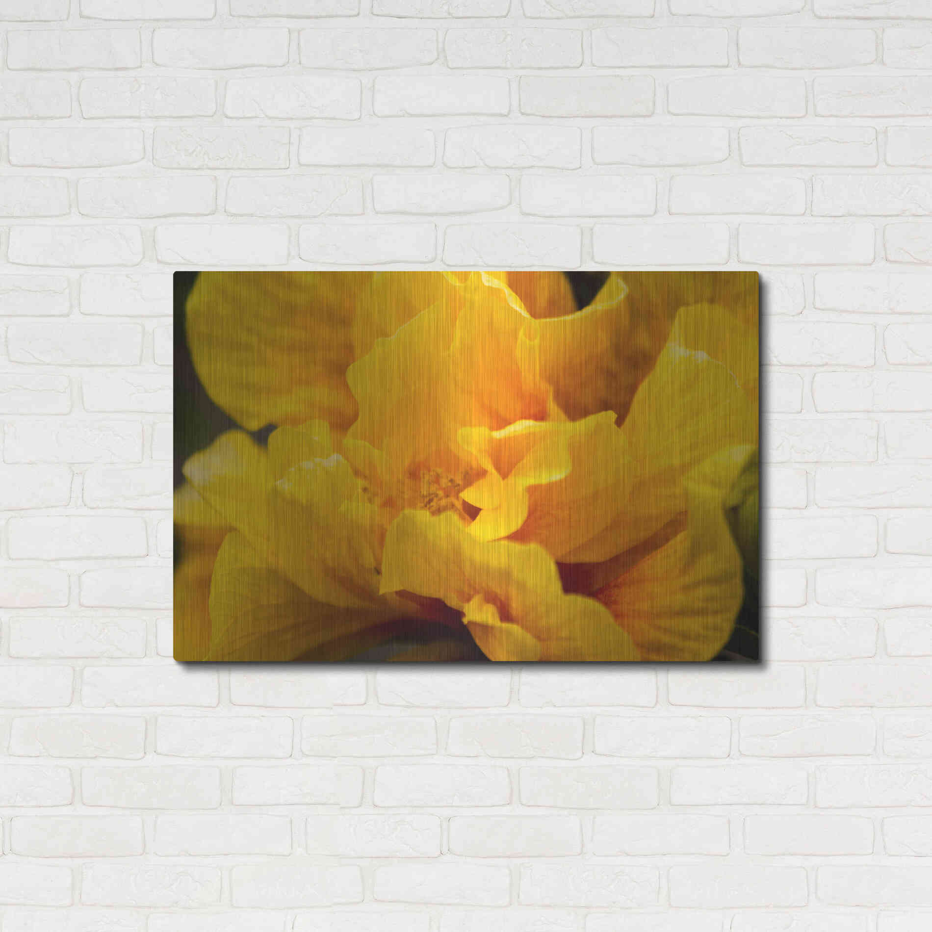 Luxe Metal Art 'Hibiscus Folds' by Chris Moyer, Metal Wall Art,36x24