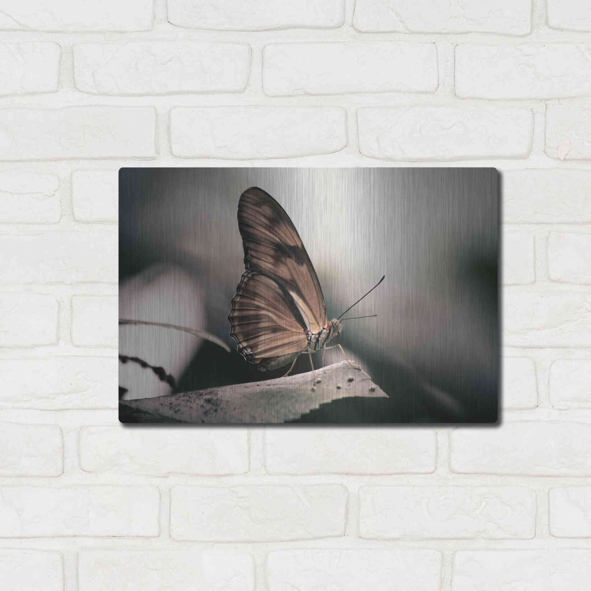 Luxe Metal Art 'Muted' by Chris Moyer, Metal Wall Art,16x12