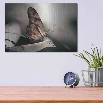 Luxe Metal Art 'Muted' by Chris Moyer, Metal Wall Art,16x12