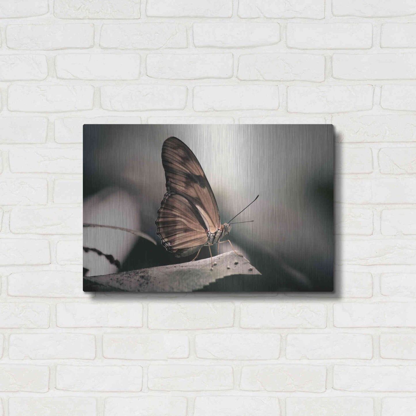 Luxe Metal Art 'Muted' by Chris Moyer, Metal Wall Art,24x16