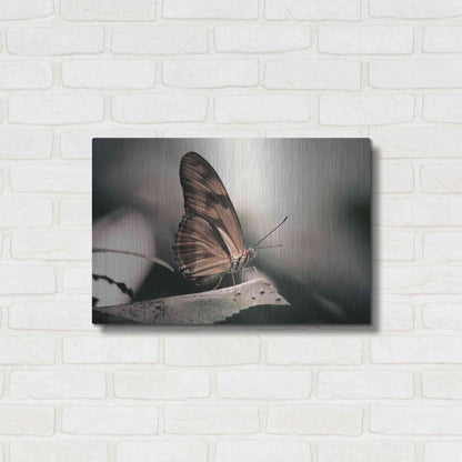 Luxe Metal Art 'Muted' by Chris Moyer, Metal Wall Art,24x16