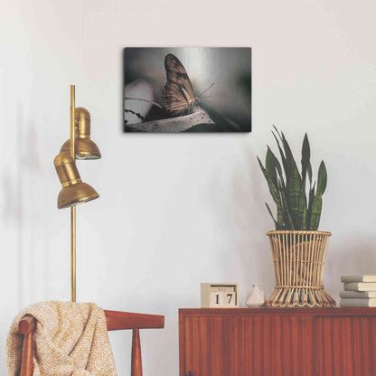 Luxe Metal Art 'Muted' by Chris Moyer, Metal Wall Art,24x16