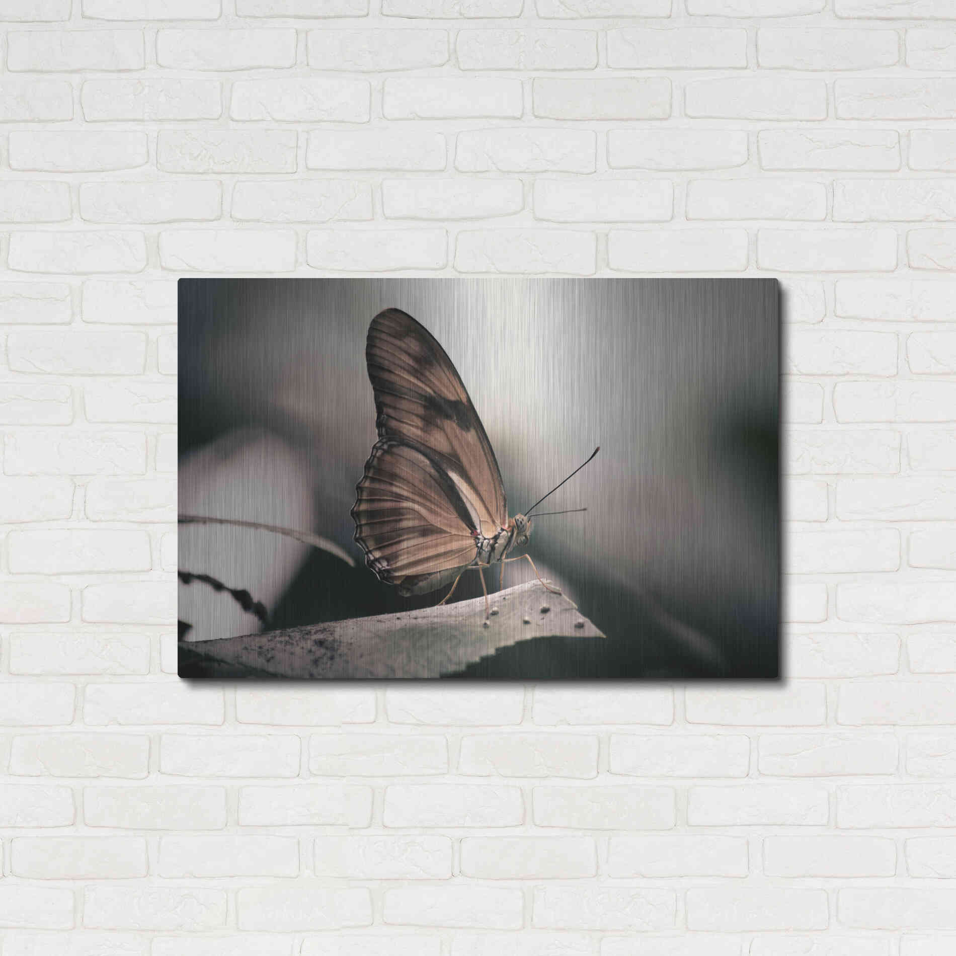 Luxe Metal Art 'Muted' by Chris Moyer, Metal Wall Art,36x24