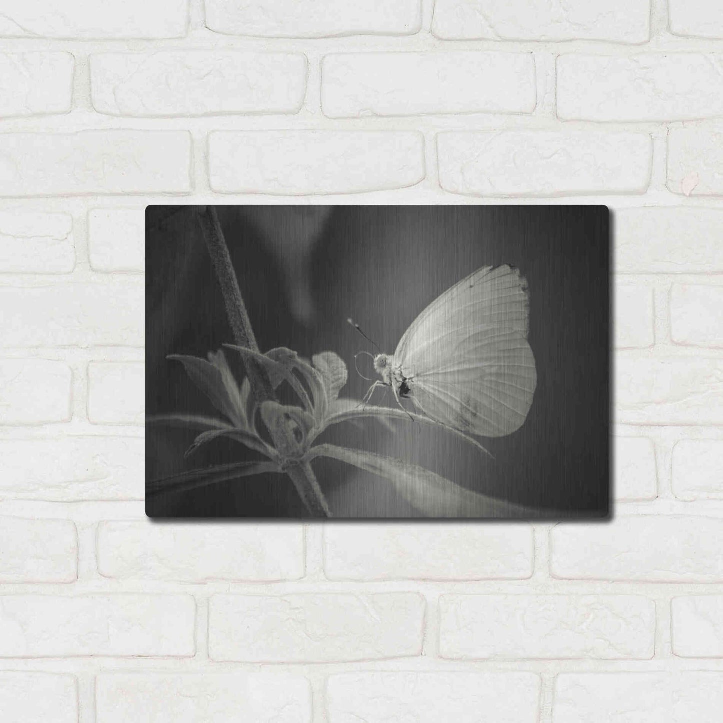 Luxe Metal Art 'Patiently Wait' by Chris Moyer, Metal Wall Art,16x12