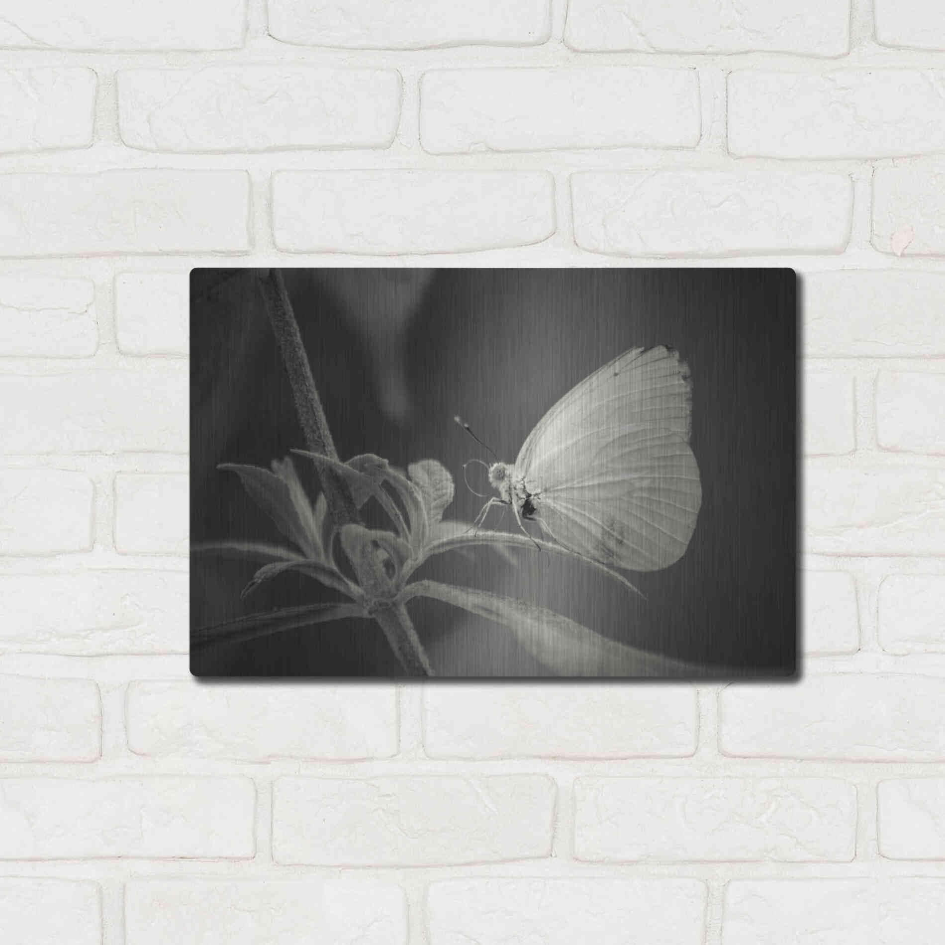 Luxe Metal Art 'Patiently Wait' by Chris Moyer, Metal Wall Art,16x12