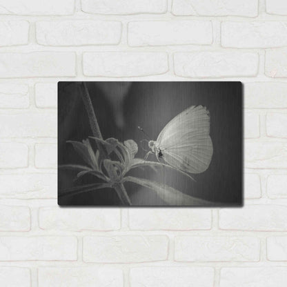 Luxe Metal Art 'Patiently Wait' by Chris Moyer, Metal Wall Art,16x12