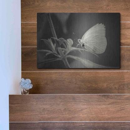 Luxe Metal Art 'Patiently Wait' by Chris Moyer, Metal Wall Art,16x12