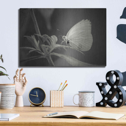 Luxe Metal Art 'Patiently Wait' by Chris Moyer, Metal Wall Art,16x12