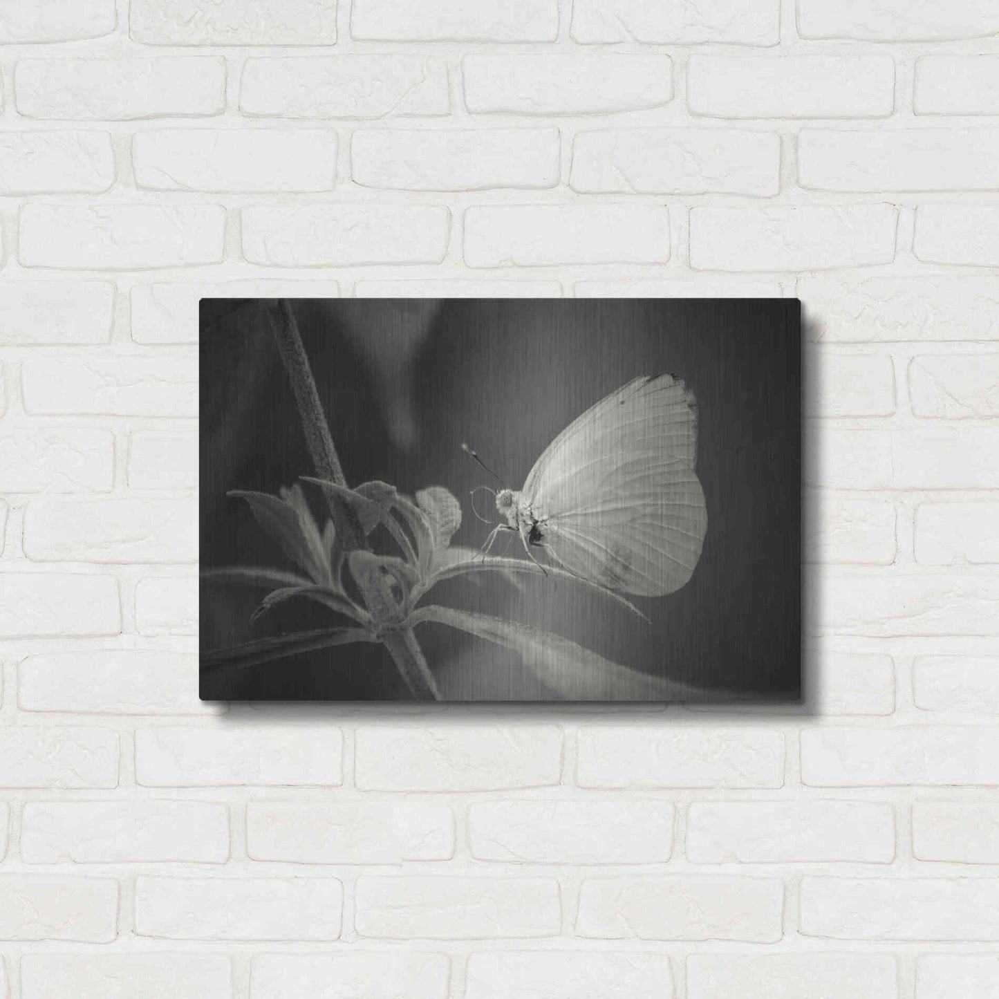 Luxe Metal Art 'Patiently Wait' by Chris Moyer, Metal Wall Art,24x16