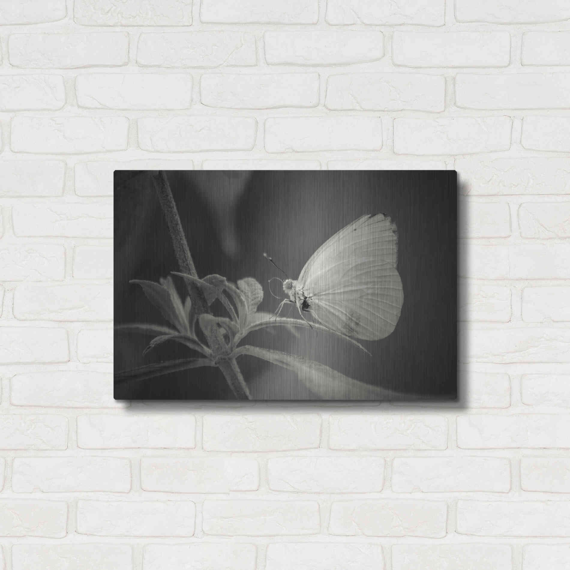 Luxe Metal Art 'Patiently Wait' by Chris Moyer, Metal Wall Art,24x16