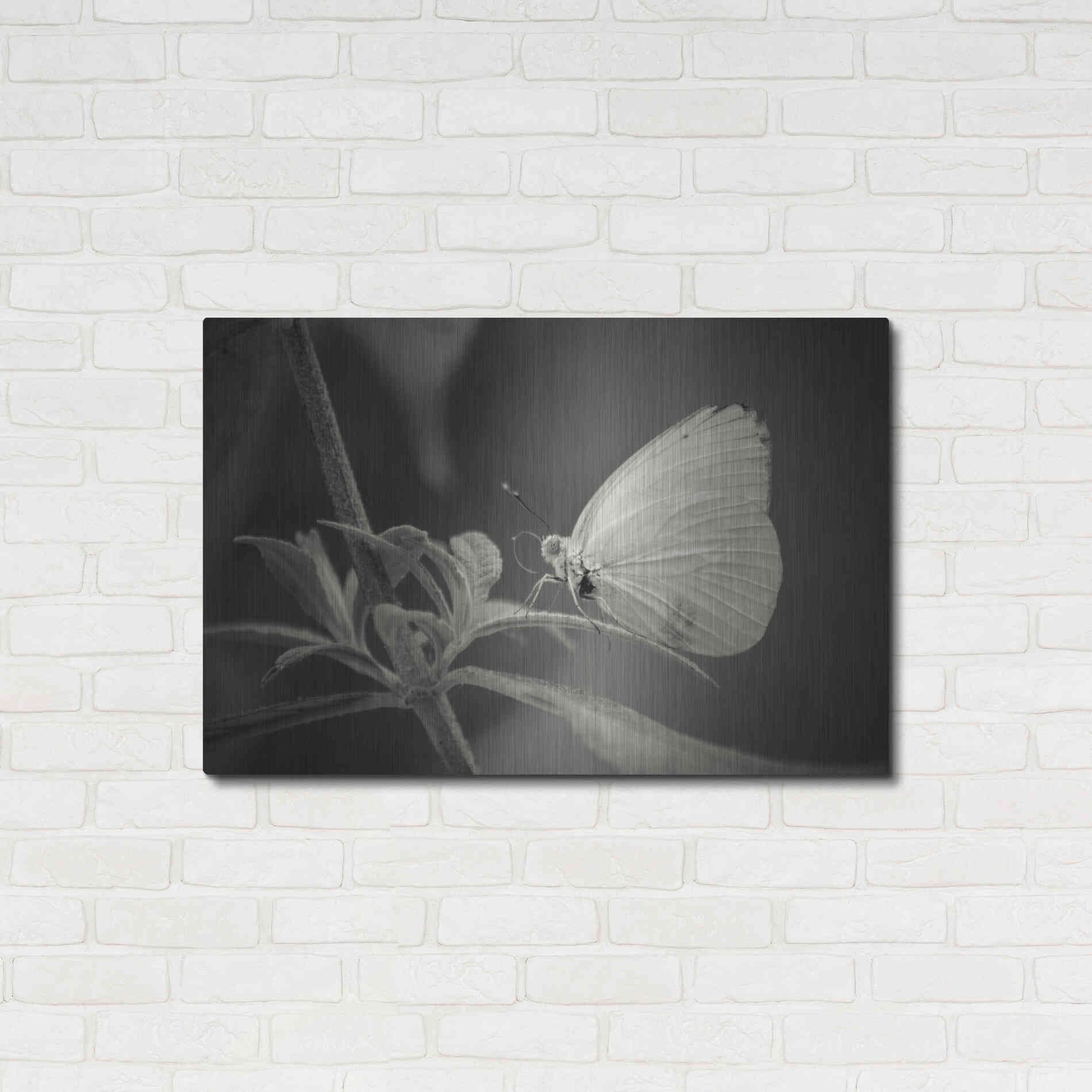 Luxe Metal Art 'Patiently Wait' by Chris Moyer, Metal Wall Art,36x24