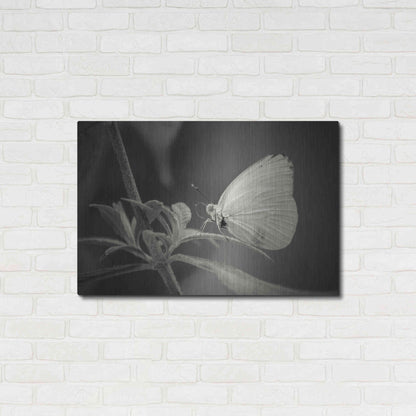 Luxe Metal Art 'Patiently Wait' by Chris Moyer, Metal Wall Art,36x24