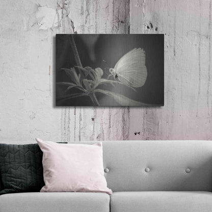 Luxe Metal Art 'Patiently Wait' by Chris Moyer, Metal Wall Art,36x24