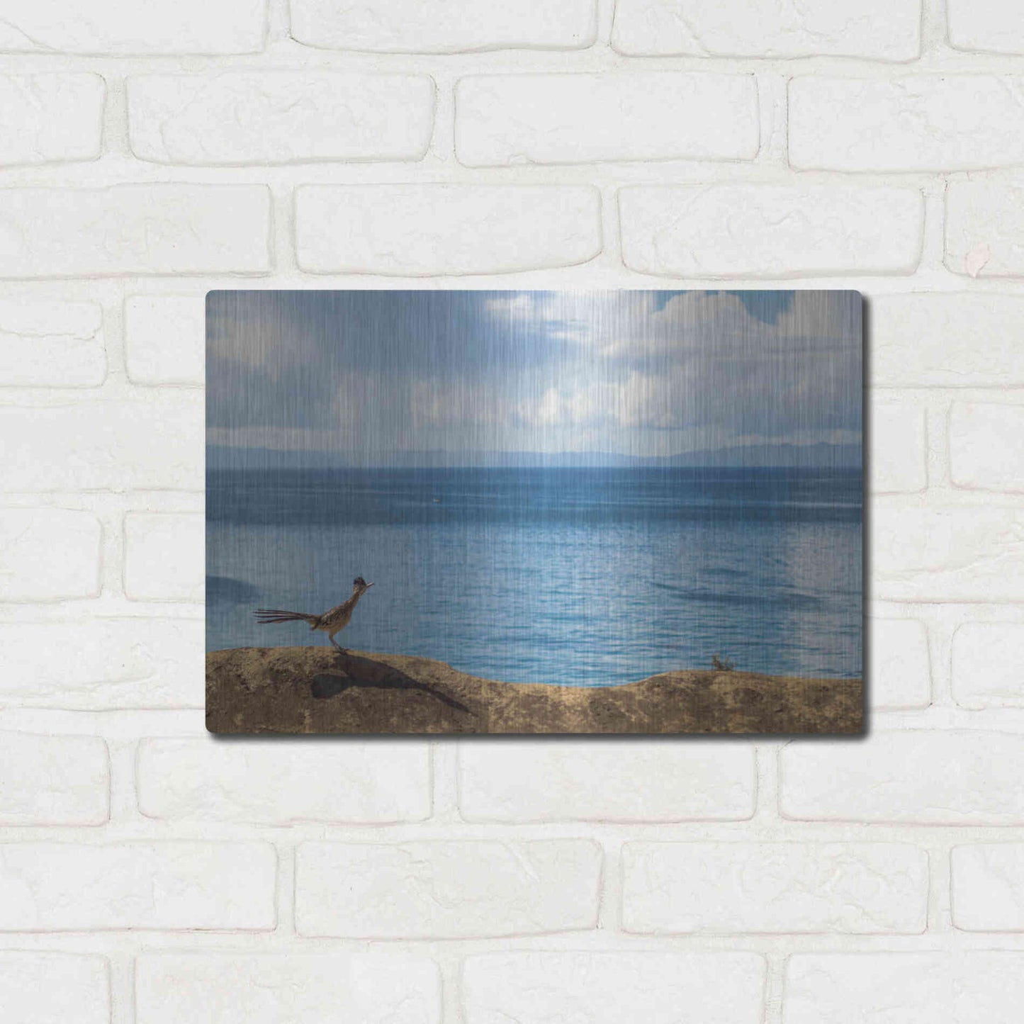 Luxe Metal Art 'Road Runner View' by Chris Moyer, Metal Wall Art,16x12