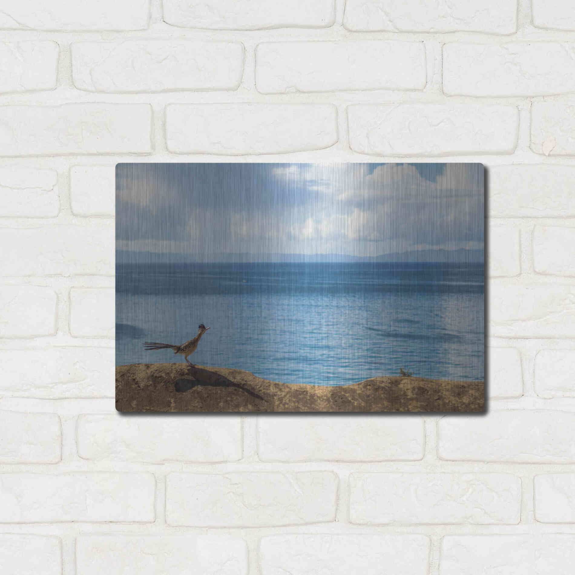 Luxe Metal Art 'Road Runner View' by Chris Moyer, Metal Wall Art,16x12