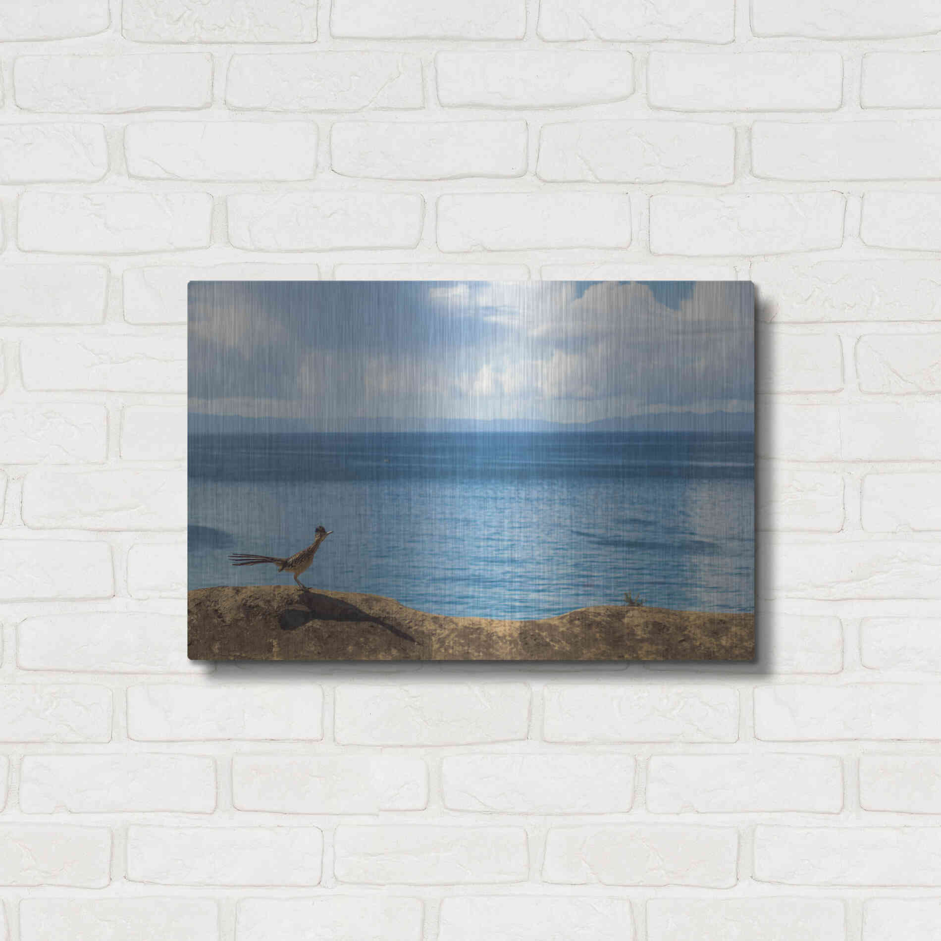 Luxe Metal Art 'Road Runner View' by Chris Moyer, Metal Wall Art,24x16