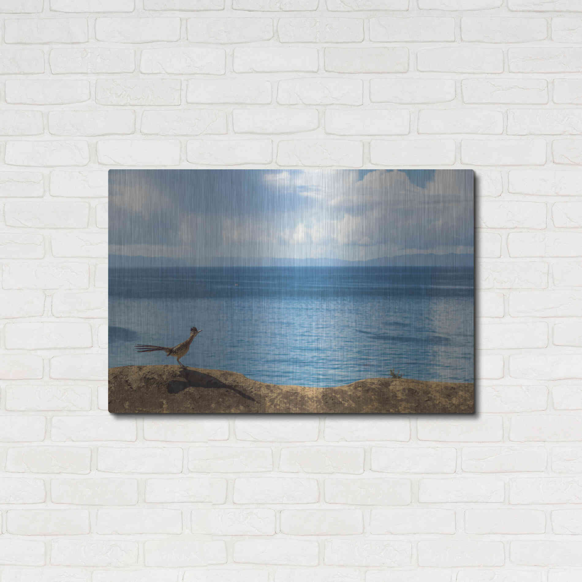 Luxe Metal Art 'Road Runner View' by Chris Moyer, Metal Wall Art,36x24