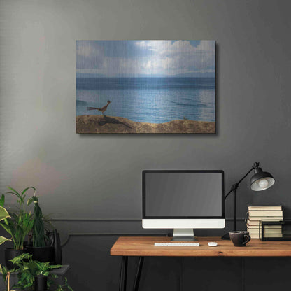 Luxe Metal Art 'Road Runner View' by Chris Moyer, Metal Wall Art,36x24