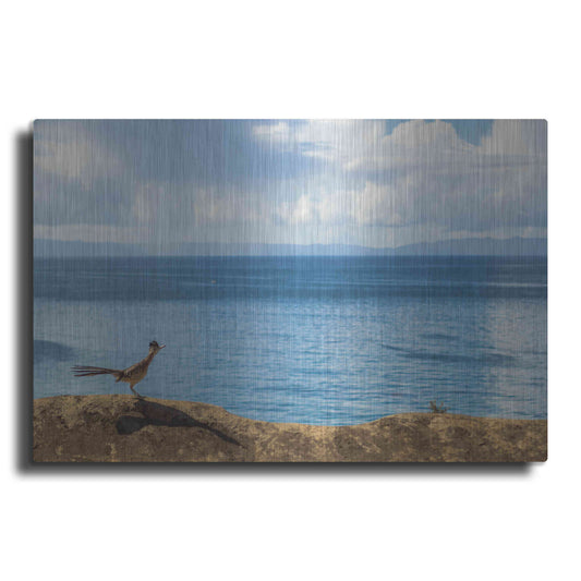 Luxe Metal Art 'Road Runner View' by Chris Moyer, Metal Wall Art