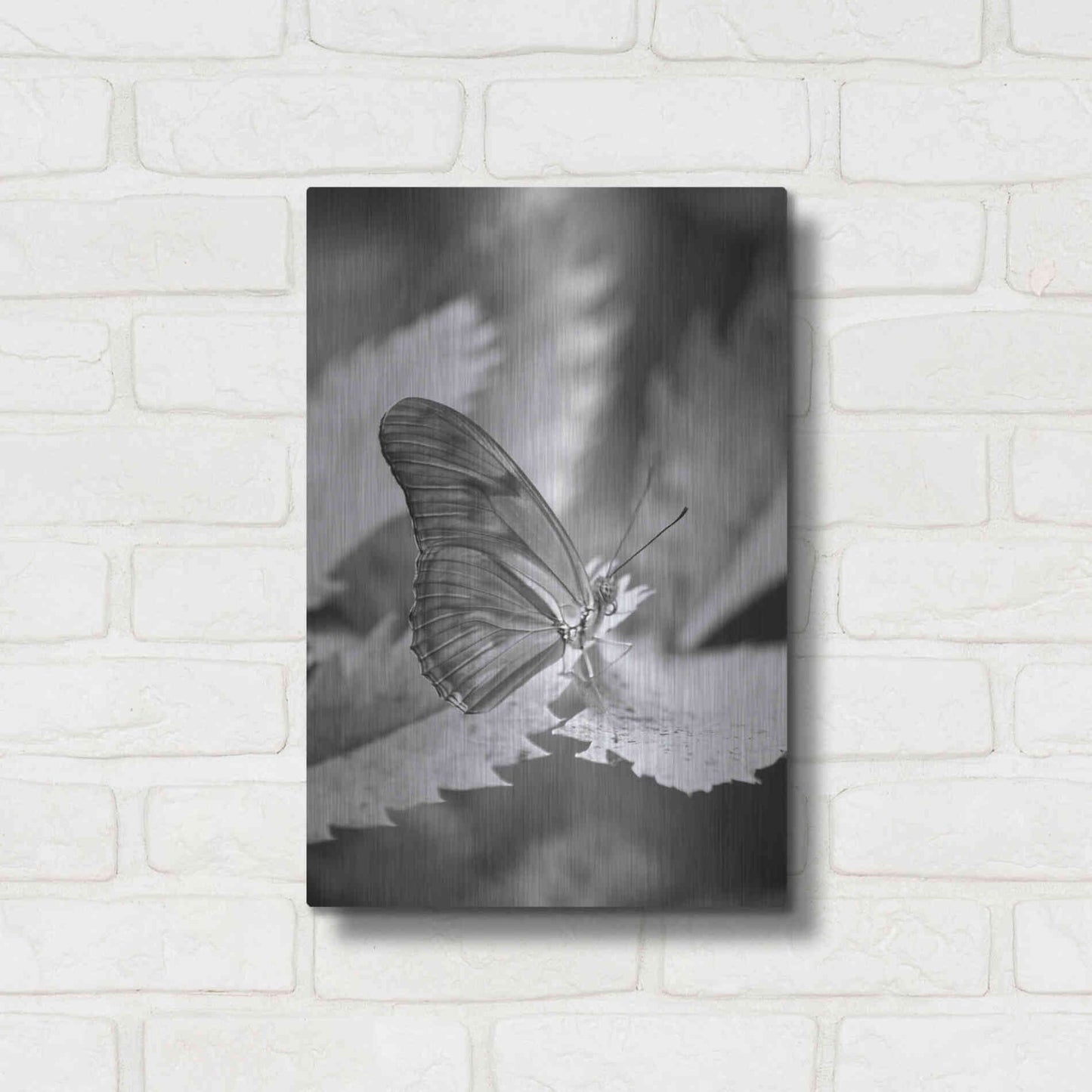 Luxe Metal Art 'Still' by Chris Moyer, Metal Wall Art,12x16