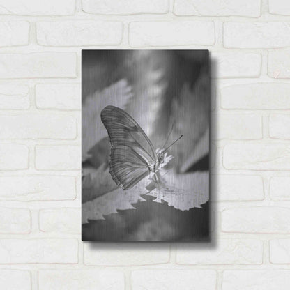 Luxe Metal Art 'Still' by Chris Moyer, Metal Wall Art,12x16