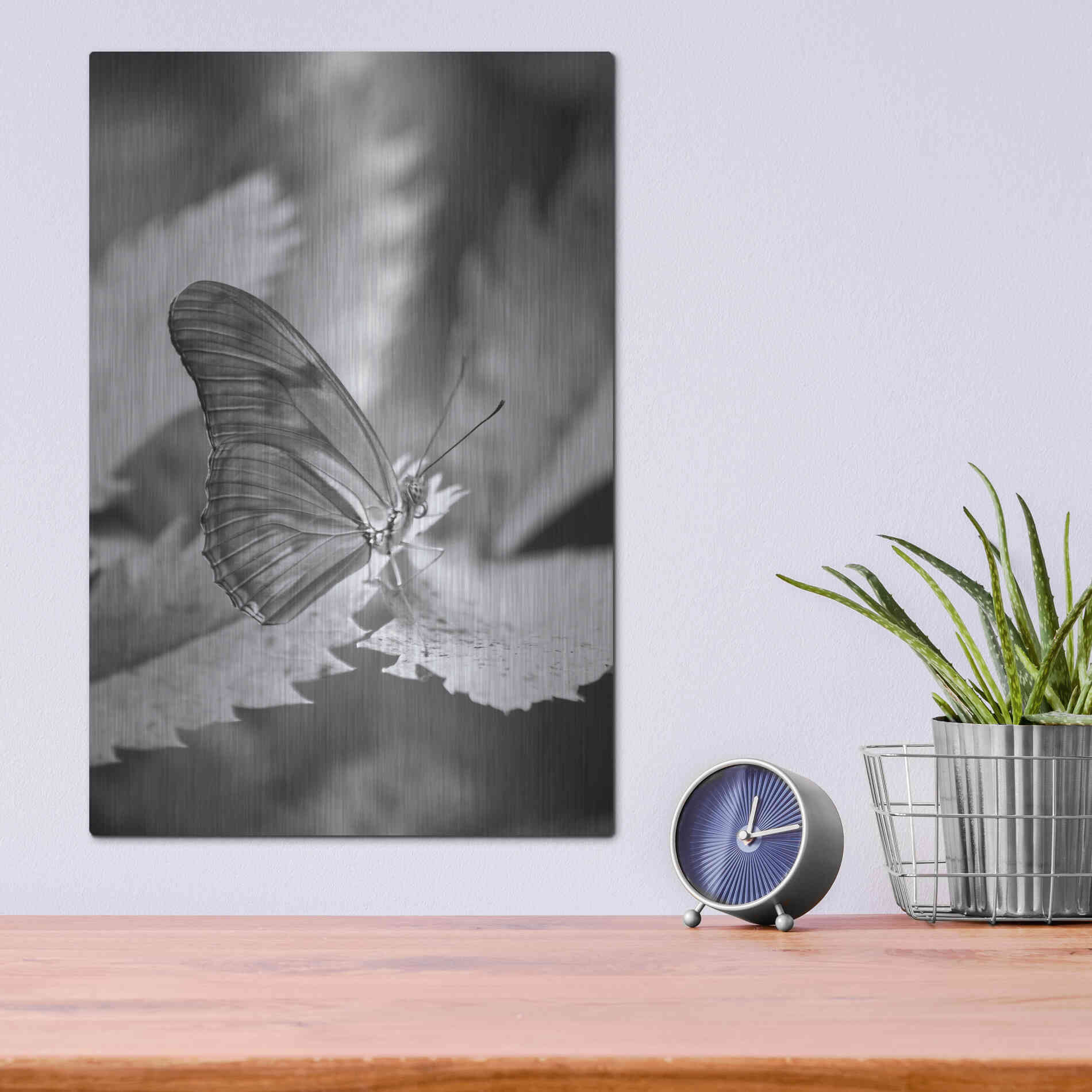 Luxe Metal Art 'Still' by Chris Moyer, Metal Wall Art,12x16