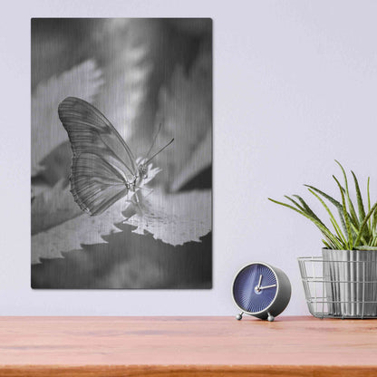 Luxe Metal Art 'Still' by Chris Moyer, Metal Wall Art,12x16