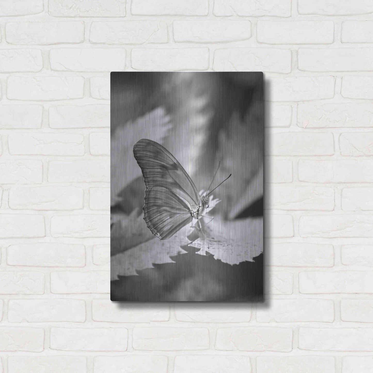 Luxe Metal Art 'Still' by Chris Moyer, Metal Wall Art,16x24