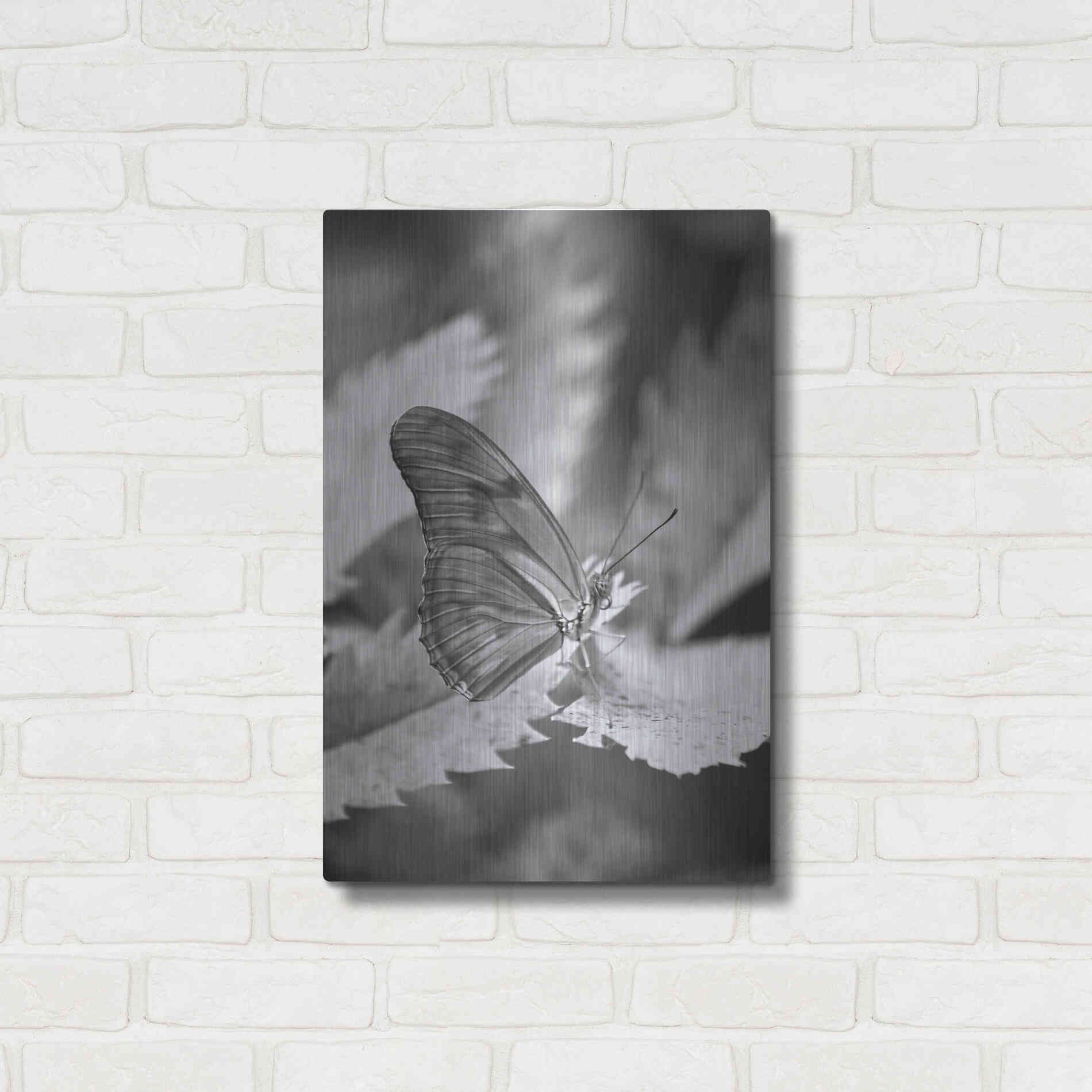 Luxe Metal Art 'Still' by Chris Moyer, Metal Wall Art,16x24