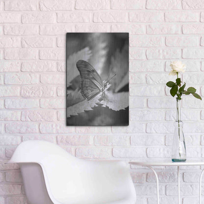 Luxe Metal Art 'Still' by Chris Moyer, Metal Wall Art,16x24