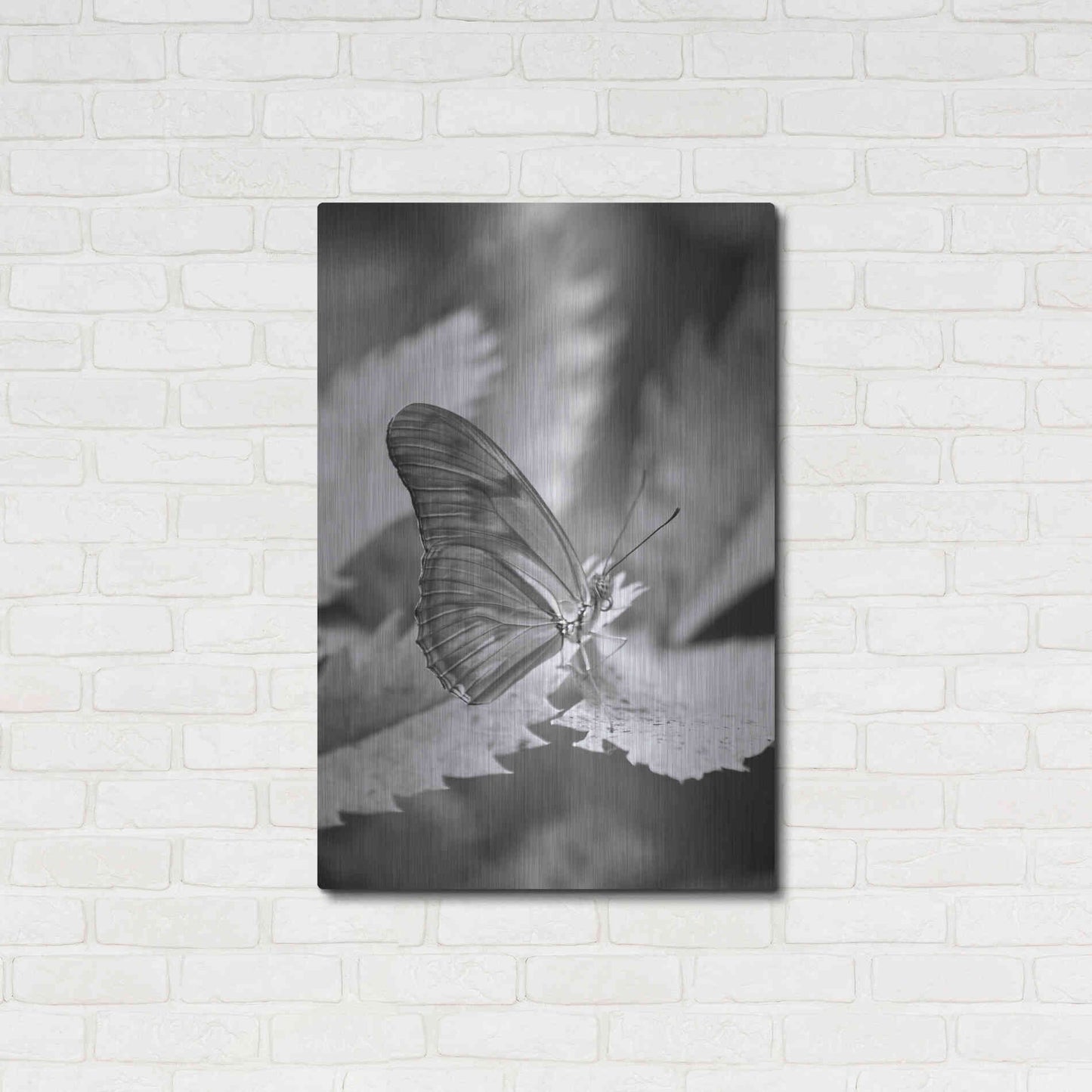 Luxe Metal Art 'Still' by Chris Moyer, Metal Wall Art,24x36