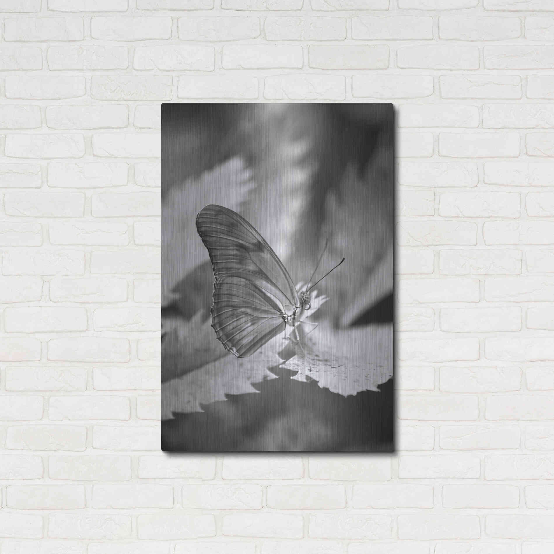 Luxe Metal Art 'Still' by Chris Moyer, Metal Wall Art,24x36