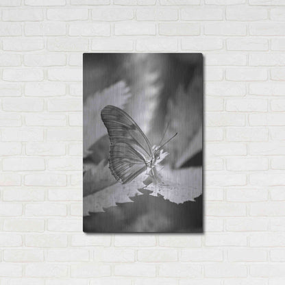 Luxe Metal Art 'Still' by Chris Moyer, Metal Wall Art,24x36