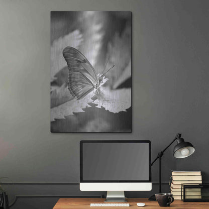 Luxe Metal Art 'Still' by Chris Moyer, Metal Wall Art,24x36