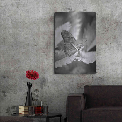 Luxe Metal Art 'Still' by Chris Moyer, Metal Wall Art,24x36