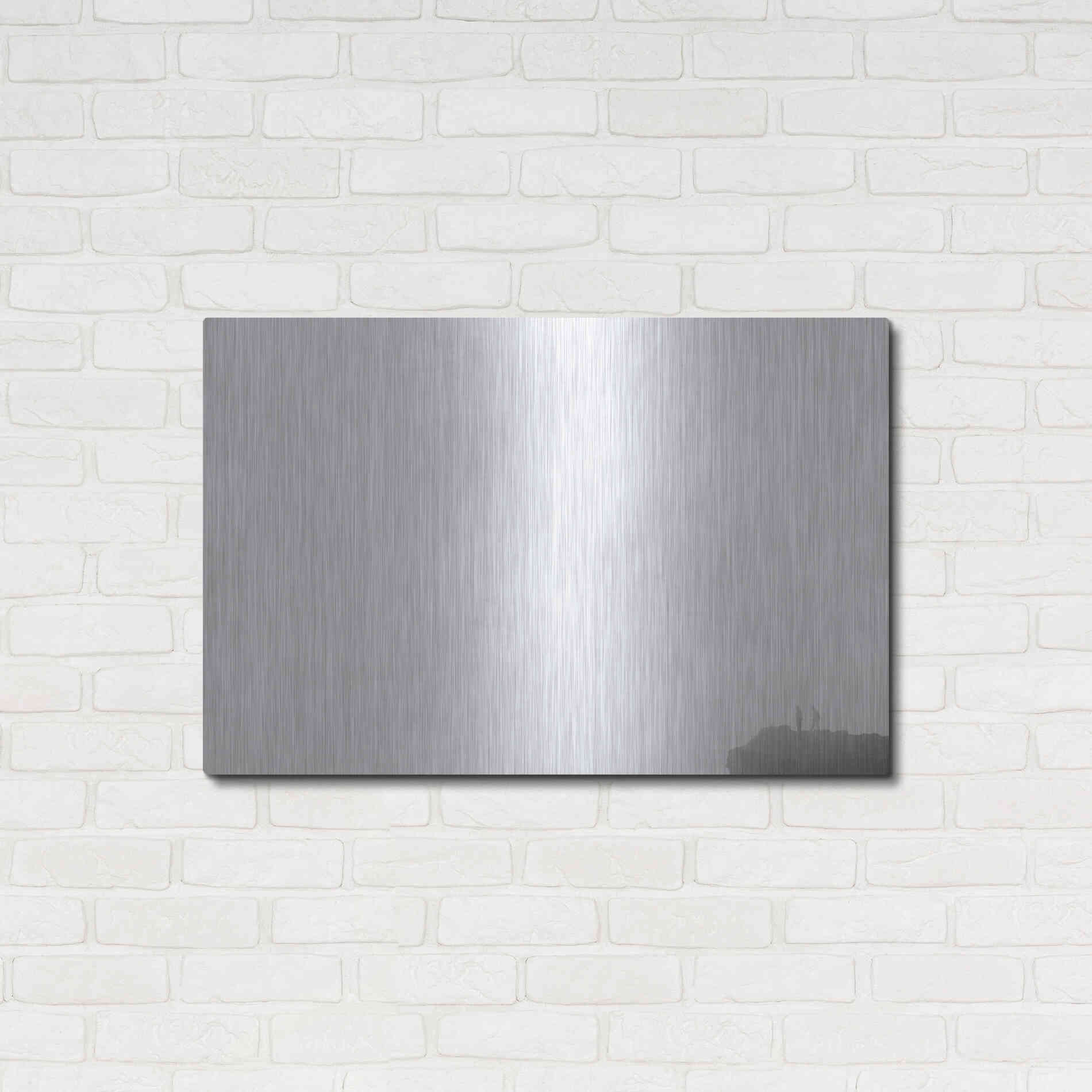 Luxe Metal Art 'The Edge' by Chris Moyer, Metal Wall Art,36x24