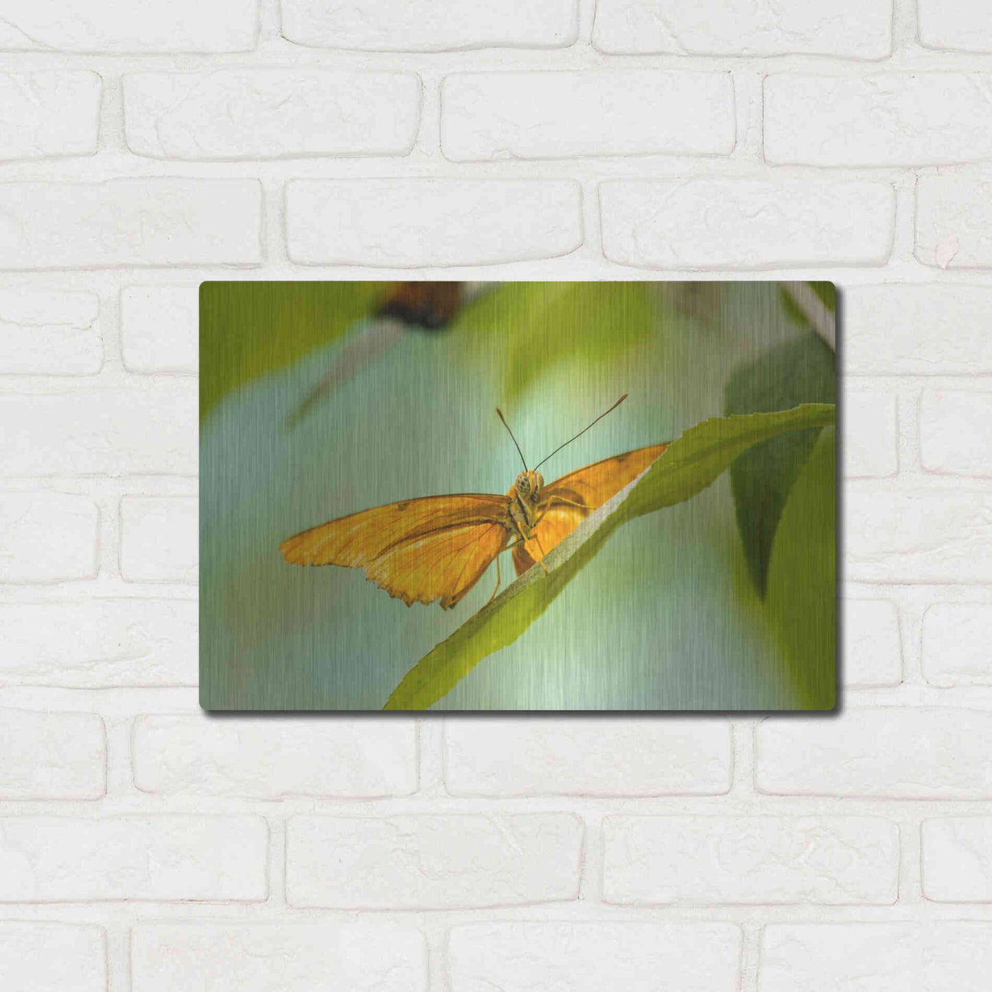 Luxe Metal Art 'The Lookout' by Chris Moyer, Metal Wall Art,16x12