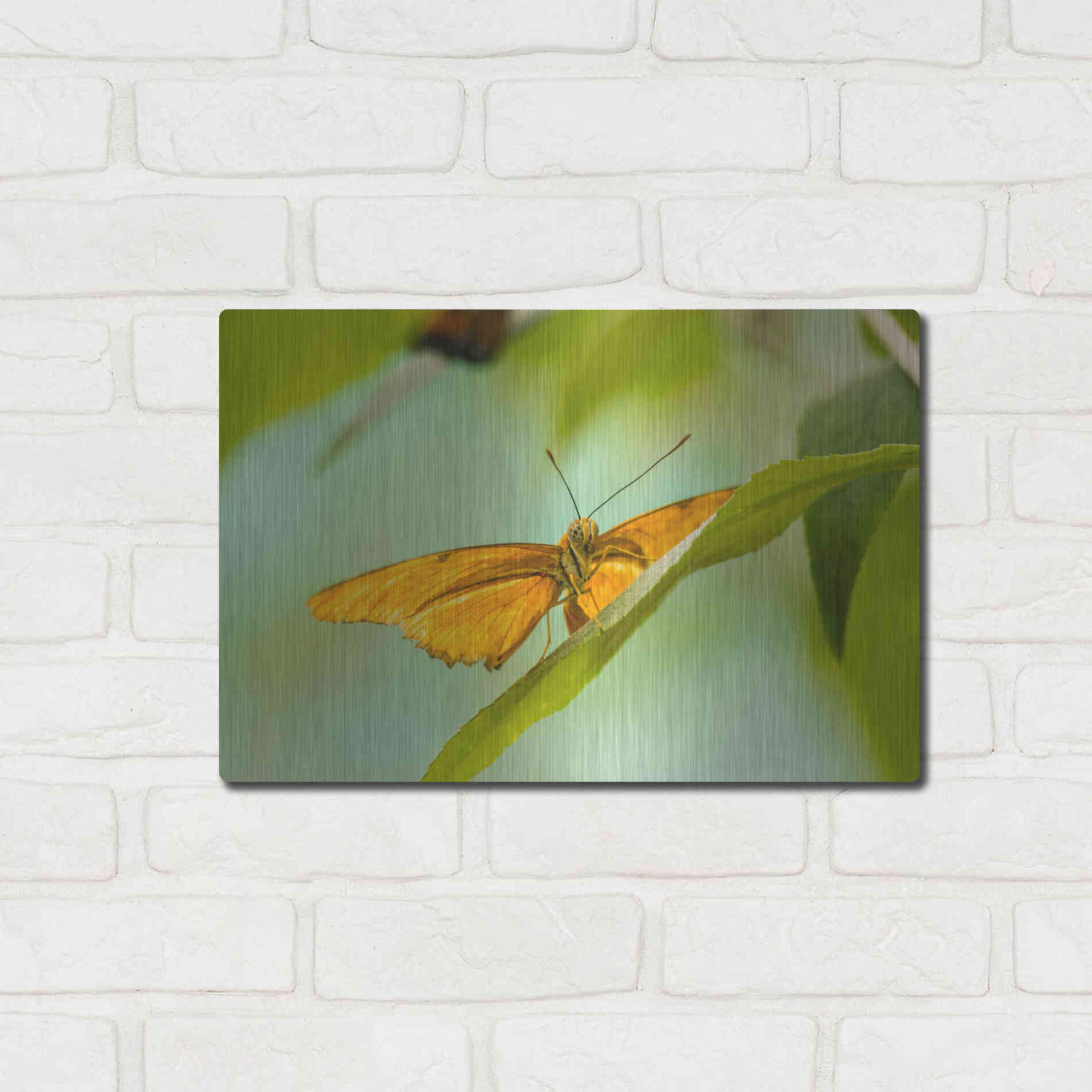 Luxe Metal Art 'The Lookout' by Chris Moyer, Metal Wall Art,16x12