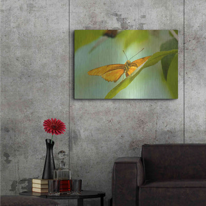 Luxe Metal Art 'The Lookout' by Chris Moyer, Metal Wall Art,36x24