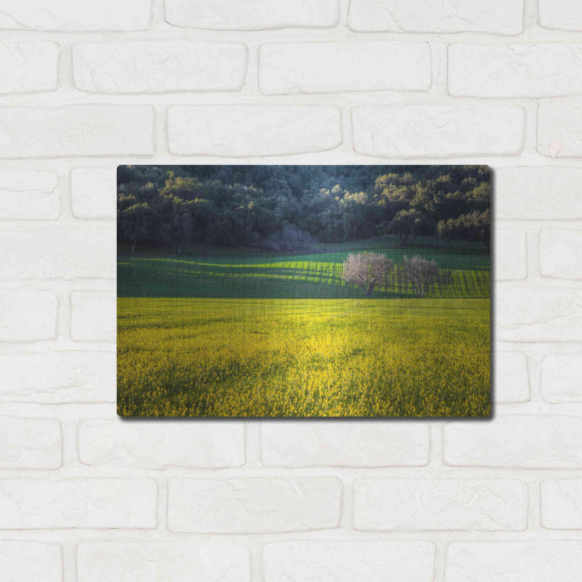 Luxe Metal Art 'Together Forever' by Chris Moyer, Metal Wall Art,16x12