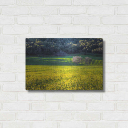 Luxe Metal Art 'Together Forever' by Chris Moyer, Metal Wall Art,24x16