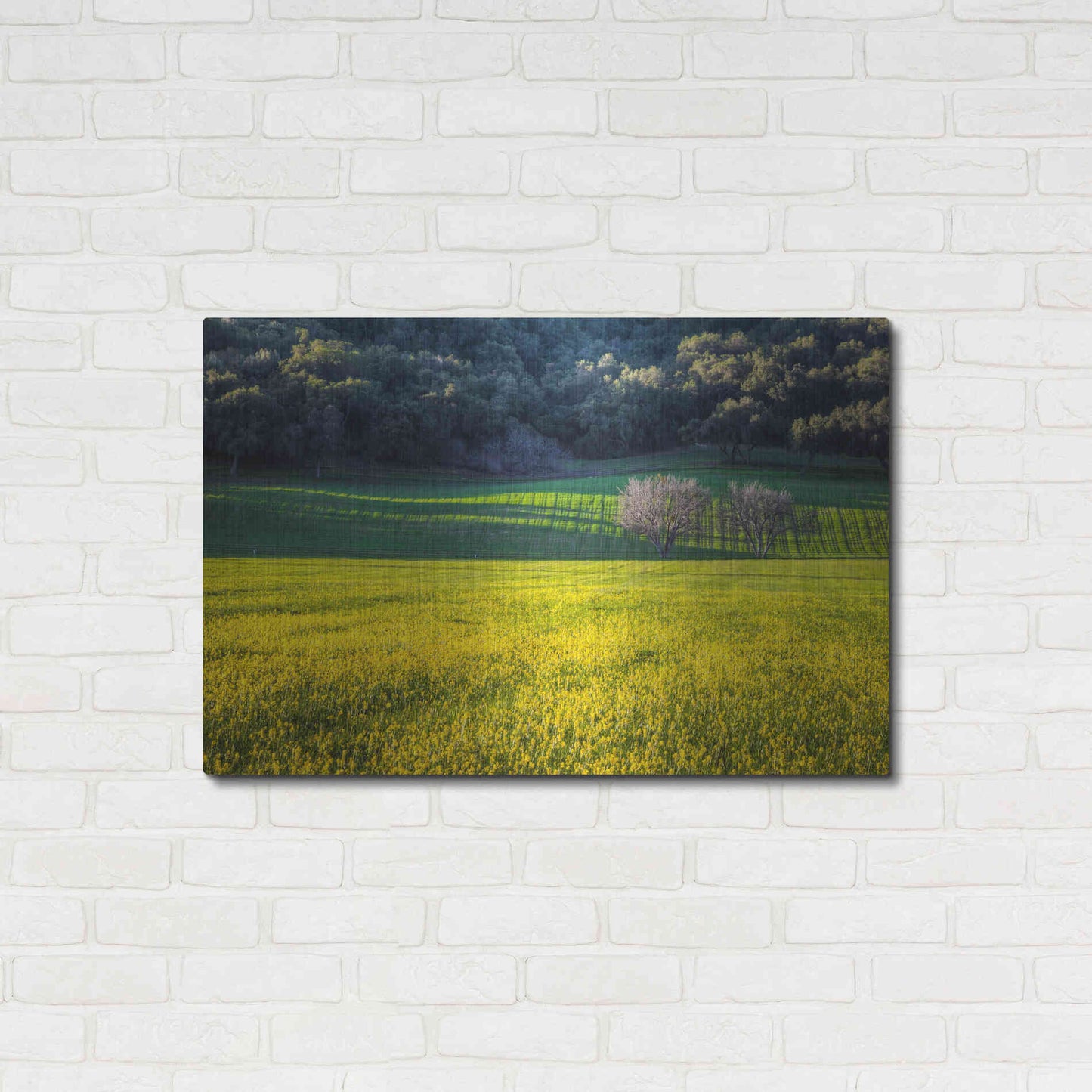 Luxe Metal Art 'Together Forever' by Chris Moyer, Metal Wall Art,36x24