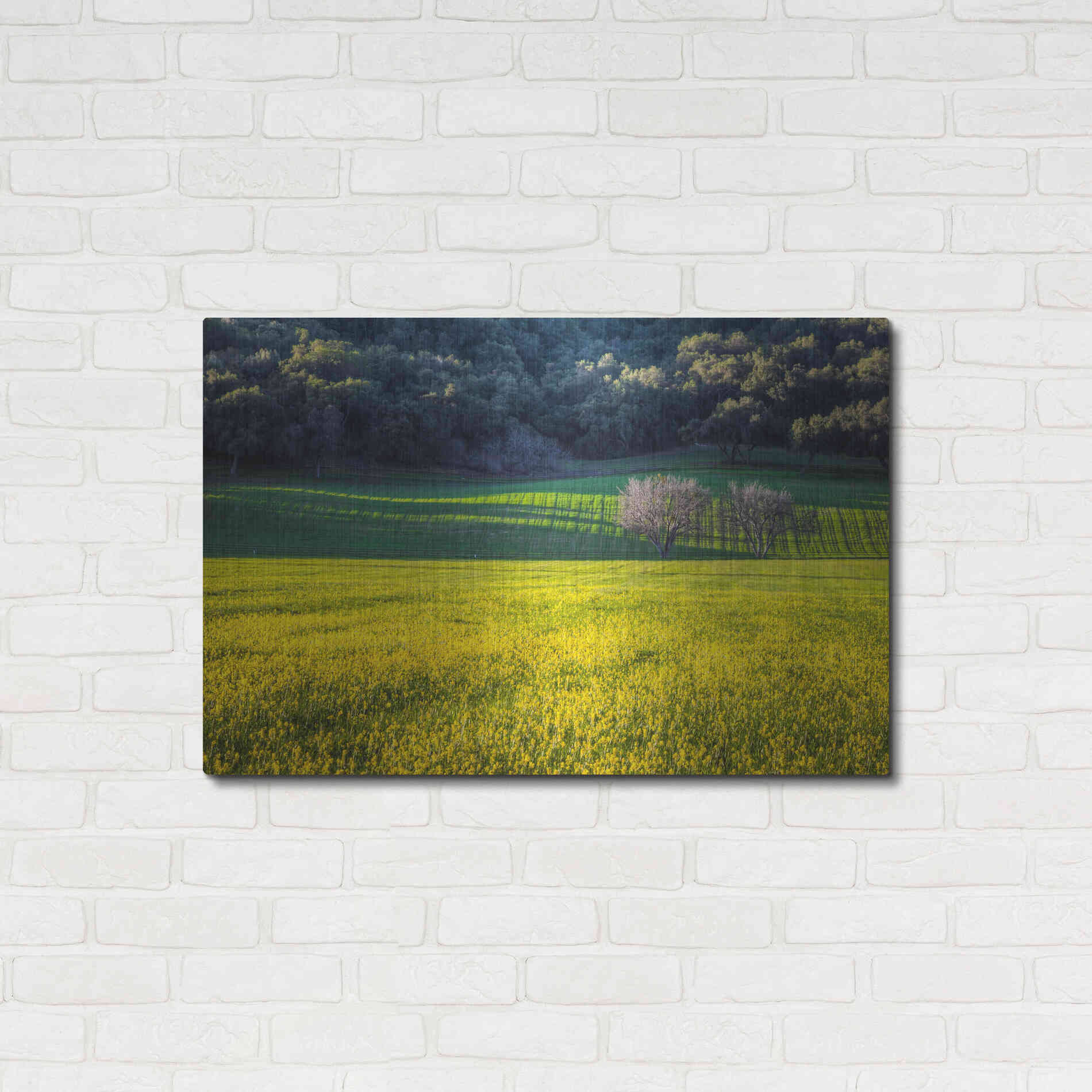 Luxe Metal Art 'Together Forever' by Chris Moyer, Metal Wall Art,36x24