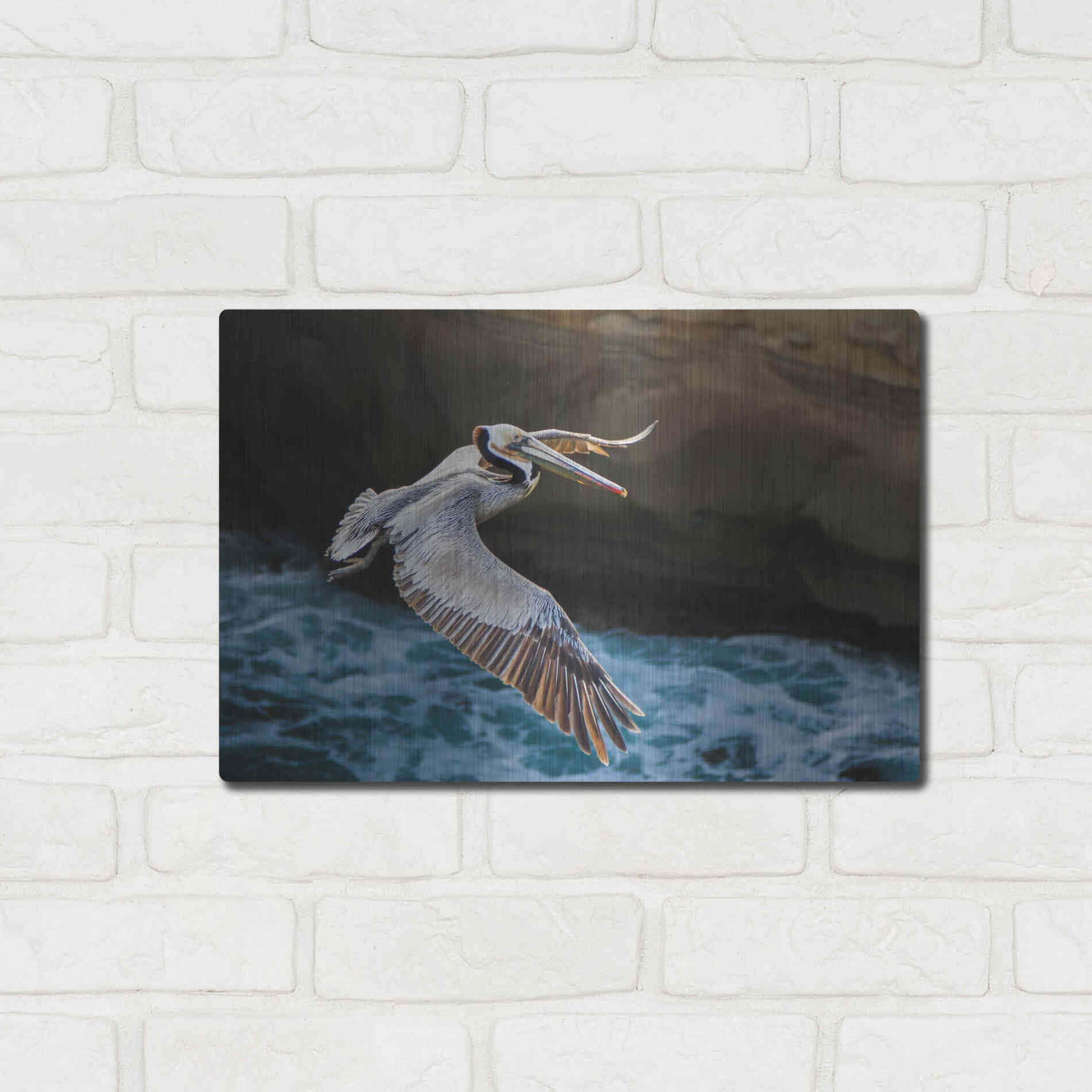 Luxe Metal Art 'Pelican Flight' by Chris Moyer, Metal Wall Art,16x12