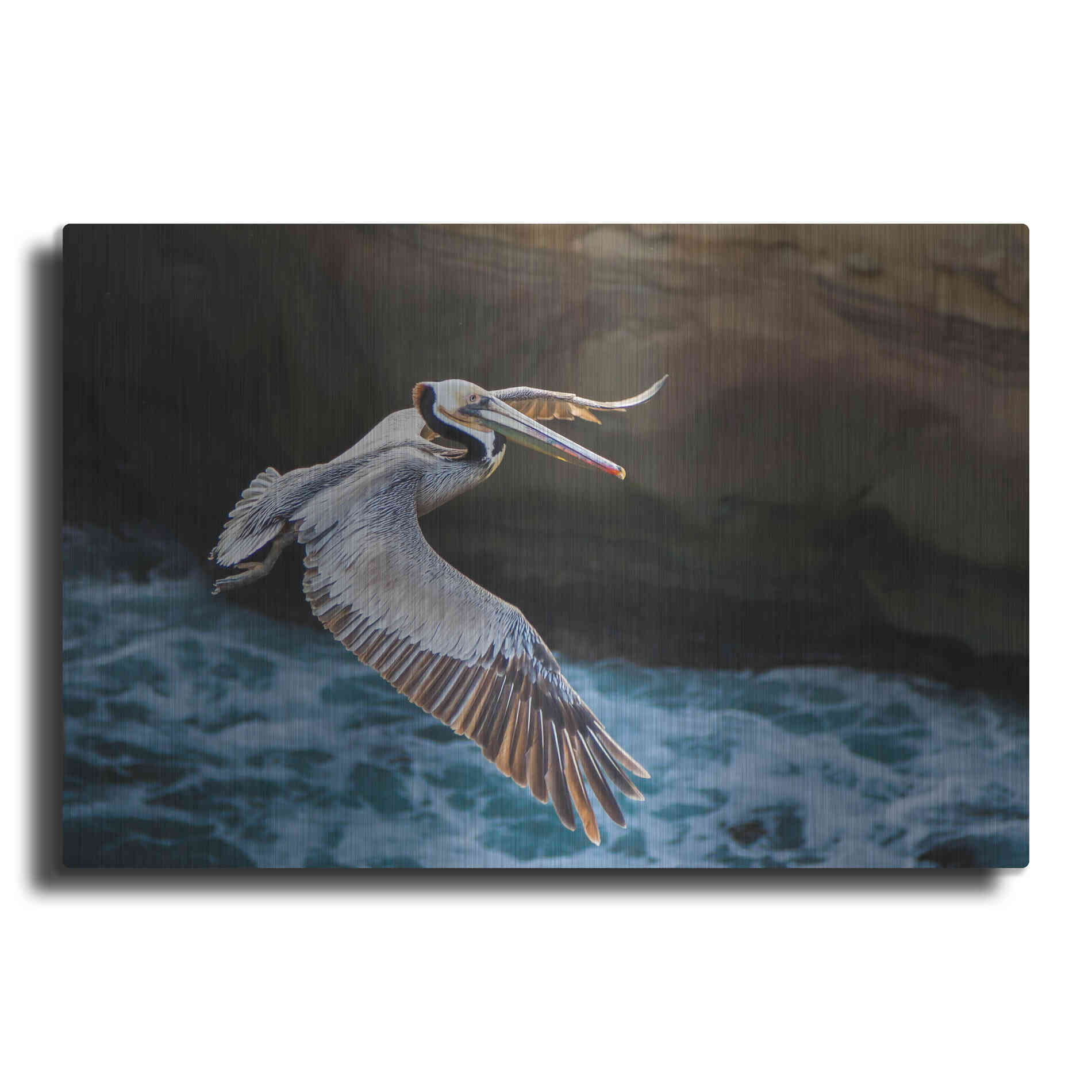 Luxe Metal Art 'Pelican Flight' by Chris Moyer, Metal Wall Art