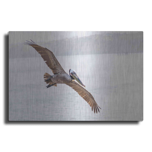 Luxe Metal Art 'Pelican Spread' by Chris Moyer, Metal Wall Art