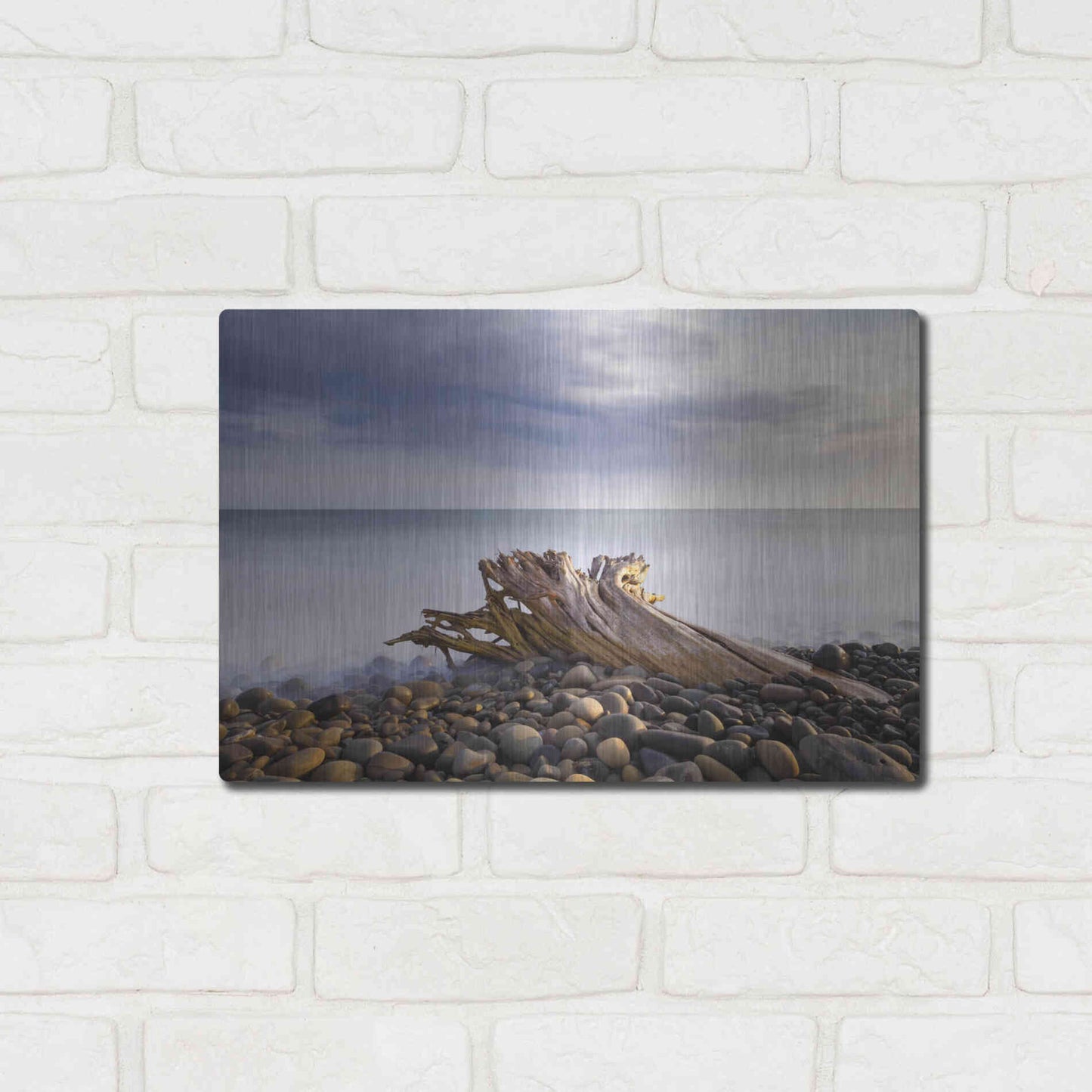 Luxe Metal Art 'Stumped' by Chris Moyer, Metal Wall Art,16x12